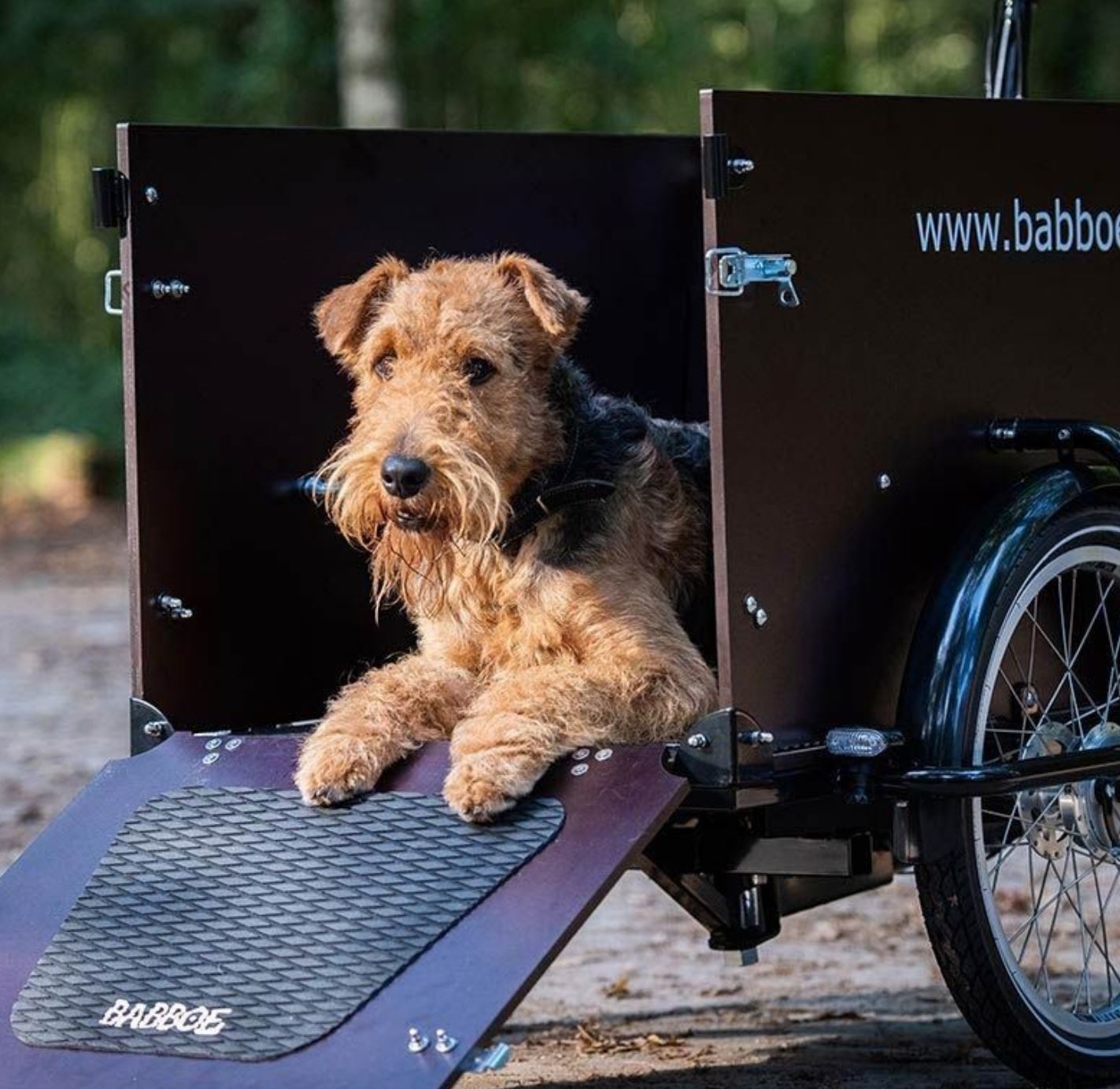 Babboe "Dog-E" 500