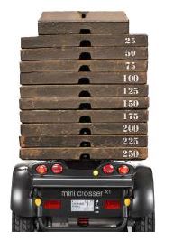 E-Mobil "X1 HD" 250KG